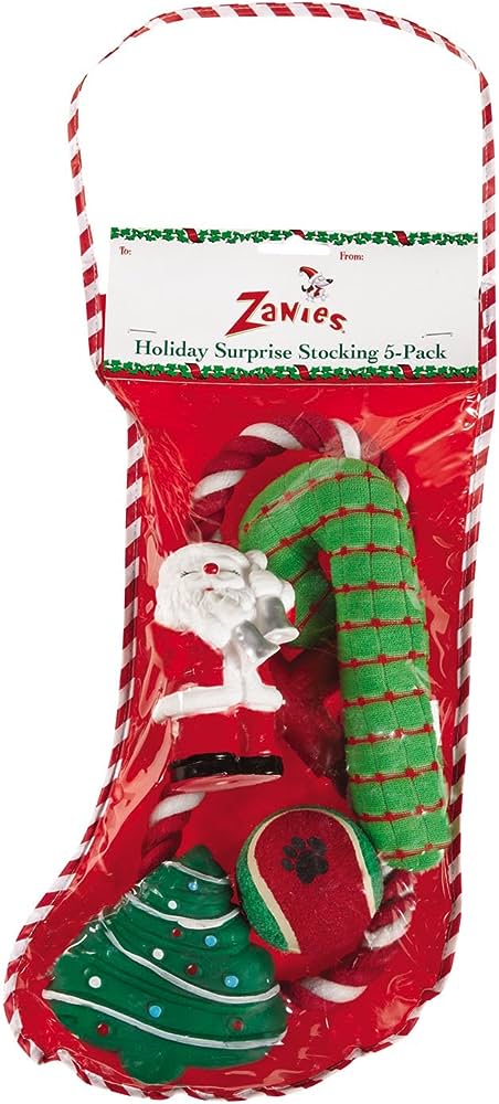 Zack & Zoey Holiday Surprise Stocking 5Pk