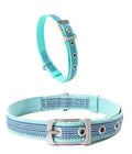 Dogness Waterproof Dog Collar - Aqua