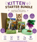 Kitten Starter Bundle