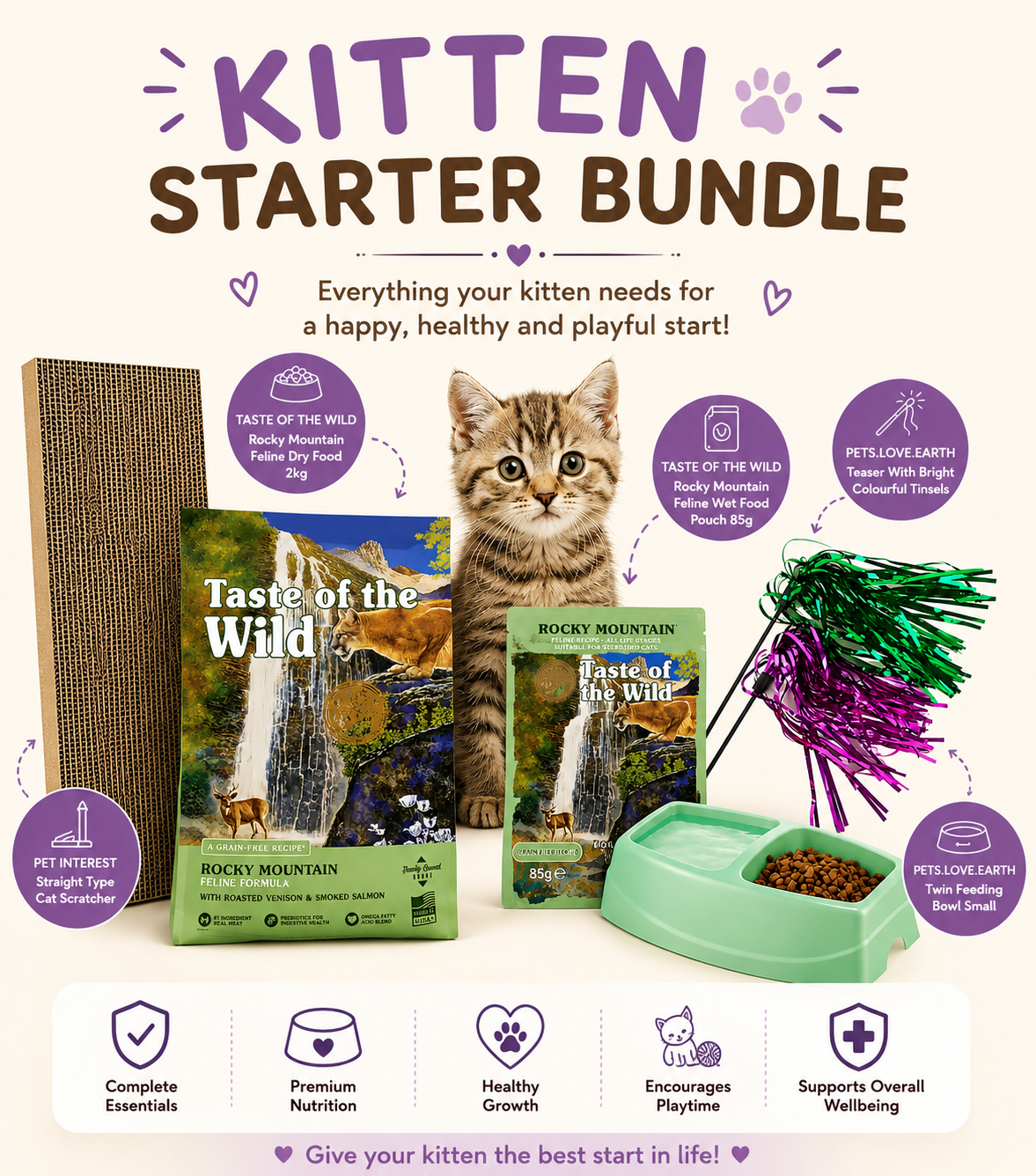 Kitten Starter Bundle