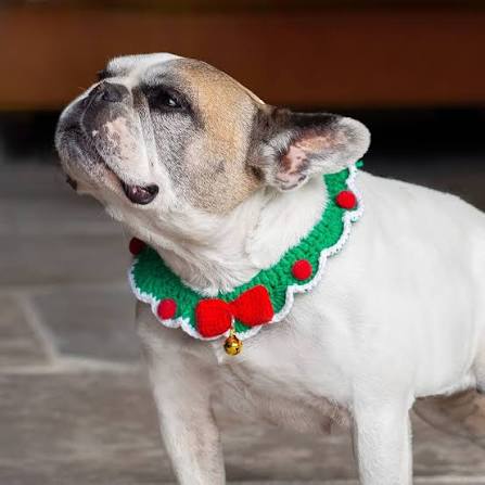 Pets.Love.Earth Holiday Garland Collar Red and Green - 15 cm