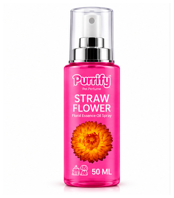Purrify Floral Essence Oil Spray – Straw Flower Fragrance 50ml