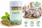 Scratch it! Catnip Leaves 30g