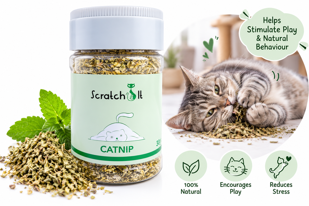 Scratch it! Catnip Leaves 30g