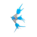 Pet Interest Cat Toy Blue fish with Silvervine
