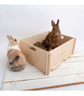 Bunny Nature Interactive Digging Box