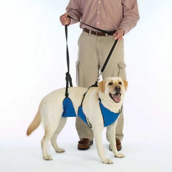 Guardian Gear Lift & Lead 4in1 M Blu