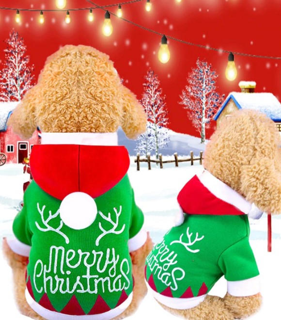 Pets.Love.Earth Merry Christmas Printed Hoodies