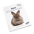 Bunny Nature The Small Hand book of Rabbit