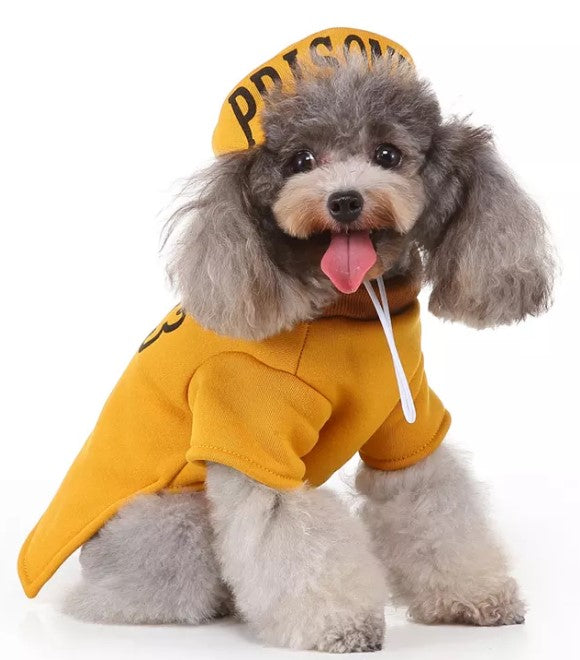Pets.Love.Earth Digital Prison Uniform