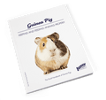 Bunny Nature The Small Hand book of Guinea Pig