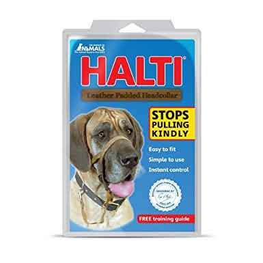 Halti Nylon Headcollar, Size 4, Black
