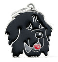 My Family Friends ID Tag - Newfoundland